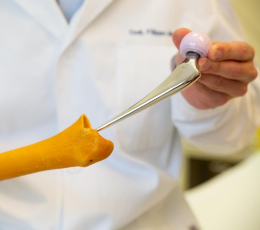 Modello anatomico e componente protesica per l’anca
